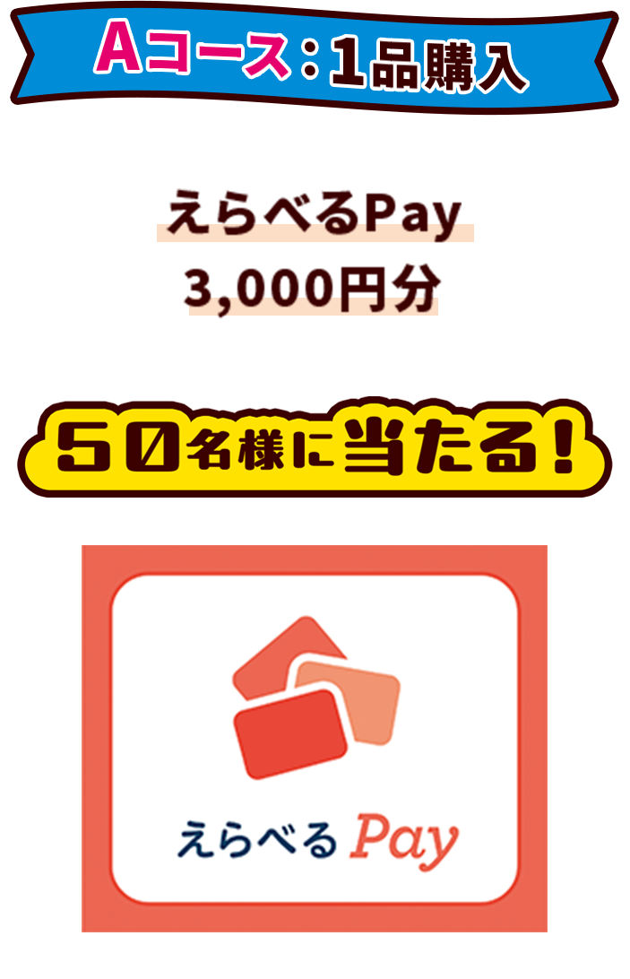 Aコース：1品購入 えらべるPay 3,000円分 50名様に当たる！ えらべるPay