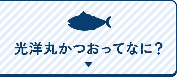 光洋丸かつおってなに？