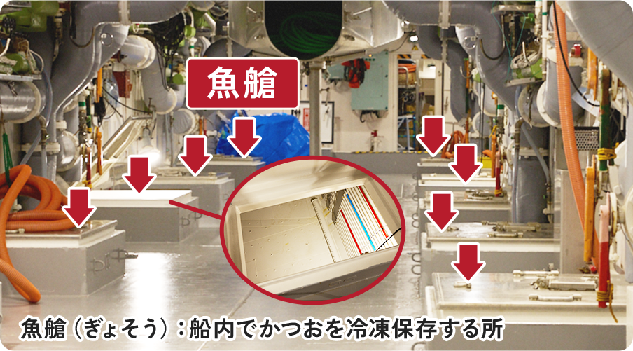 魚艙（ぎょそう）：船内でかつおを冷凍保存する所