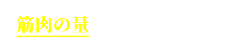 実はこれらは、筋肉の量とも関係があるんです。