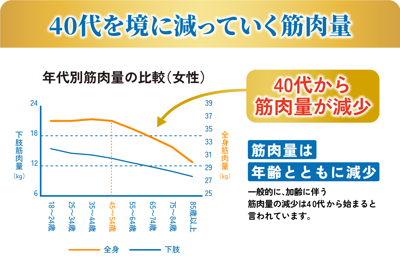 【40代を境に減っていく筋肉量】 年代別筋肉量の比較（女性） 40代から筋肉量が減少 筋肉量は年齢とともに減少 一般的に、加齢に伴う筋肉量の減少は40代から始まると言われています。