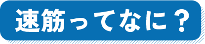 速筋ってなに？