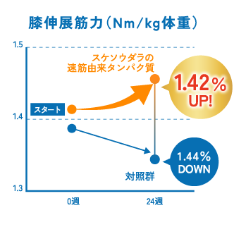 【膝伸展筋力（Nm/kg体重）】スケソウダラの速筋由来タンパク質 1.42％UP！ 対照群 1.44％DOWN