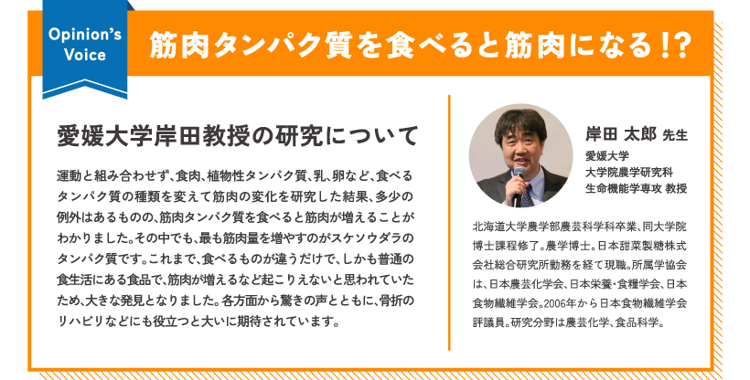 Opinion’sVoice 筋肉タンパク質を食べると筋肉になる！？ 愛媛大学岸田教授の研究について 運動と組み合わせず、食肉、植物性タンパク質、乳、卵など、食べるタンパク質の種類を変えて筋肉の変化を研究した結果、多少の例外はあるものの、筋肉タンパク質を食べると筋肉が増えることがわかりました。その中でも、最も筋肉量を増やすのがスケソウダラのタンパク質です。これまで、食べるものが違うだけで、しかも普通の食生活にある食品で、筋肉が増えるなど起こりえないと思われていたため、大きな発見となりました。各方面から驚きの声とともに、骨折のリハビリなどにも役立つと大いに期待されています。 岸田 太郎 先生 愛媛大学大学院農学研究科生命機能学専攻 教授 北海道大学農学部農芸科学科卒業、同大学院博士課程修了。農学博士。日本甜菜製糖株式会社総合研究所勤務を経て現職。所属学協会は、日本農芸化学会、日本栄養・食糧学会、日本食物繊維学会。2006年から日本食物繊維学会評議員。研究分野は農芸化学、食品科学。