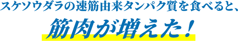 スケソウダラの速筋由来タンパク質を食べると、筋肉が増えた！