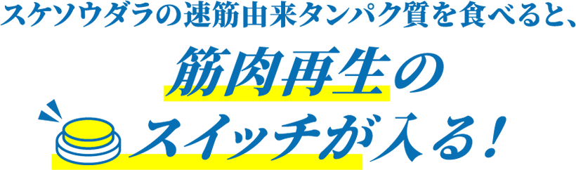 スケソウダラの速筋由来タンパク質を食べると、筋肉再生のスイッチが入る！