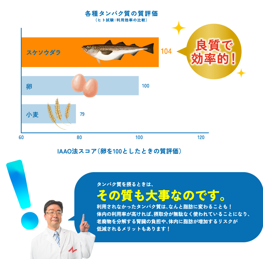 各種タンパク質の質評価（ヒト試験：利用効率の比較）スケソウダラ 良質で効率的！ IAAO法スコア（卵を100としたときの質評価）タンパク質を摂るときは、その質も大事なのです。利用されなかったタンパク質は、なんと脂肪に変わることも！ 体内の利用率が高ければ、摂取分が無駄なく使われていることになり、 老廃物を分解する腎臓の負担や、体内に脂肪が増加するリスクが 低減されるメリットもあります！