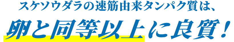 スケソウダラの速筋由来タンパク質は、卵と同等以上に良質！